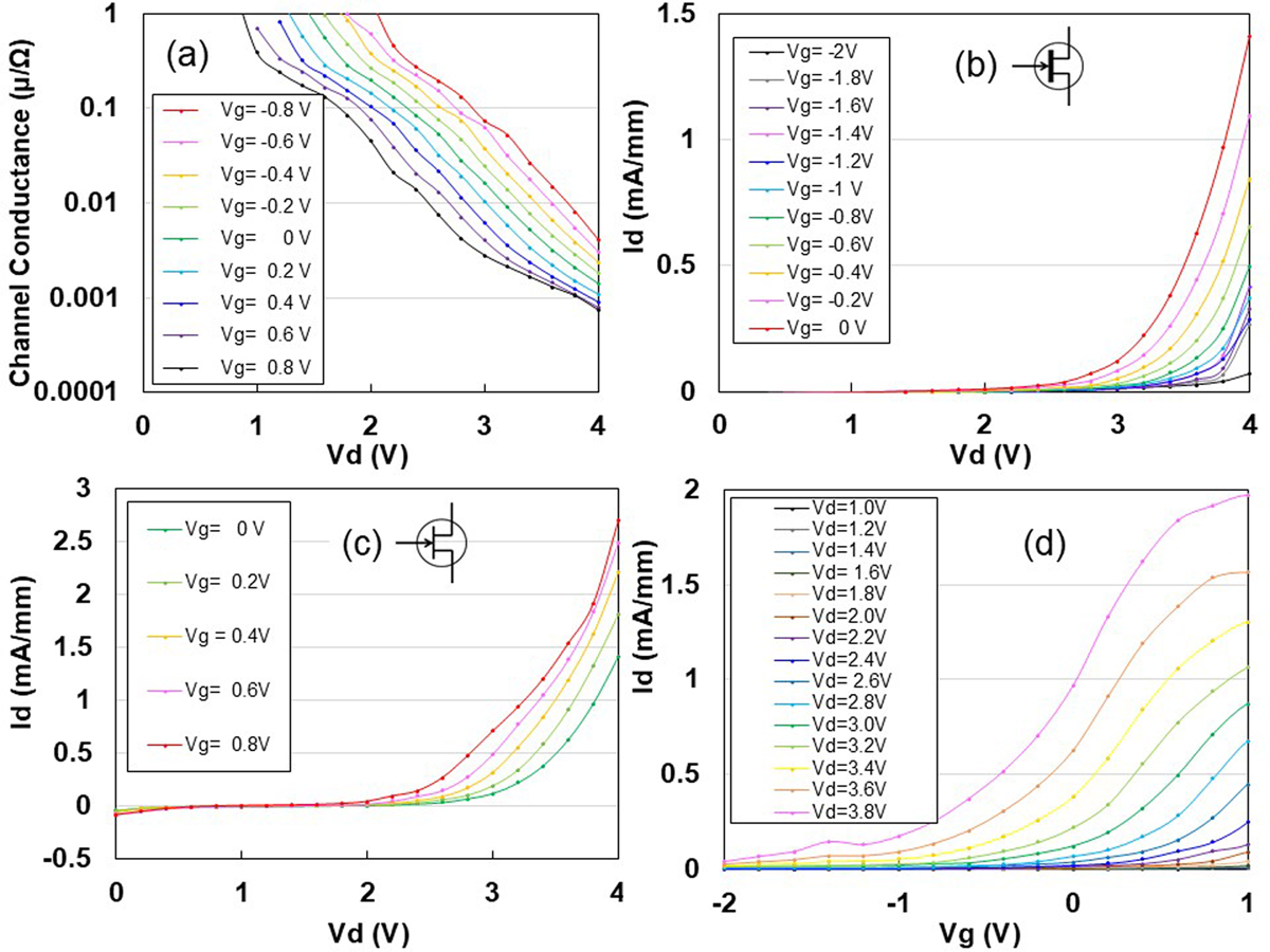 Fig. 2 Refer to the following caption and surrounding text.