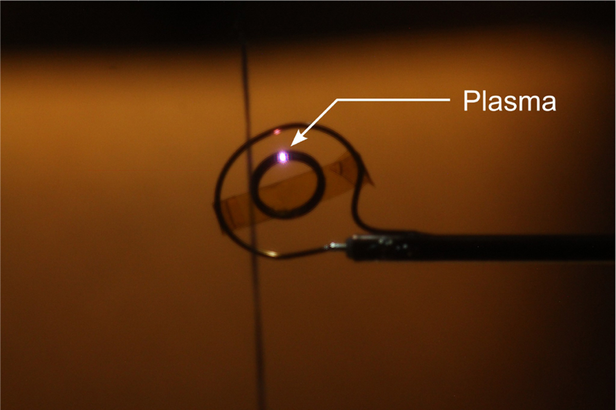 Fig. 4 Refer to the following caption and surrounding text.